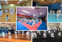 collage of all dojos